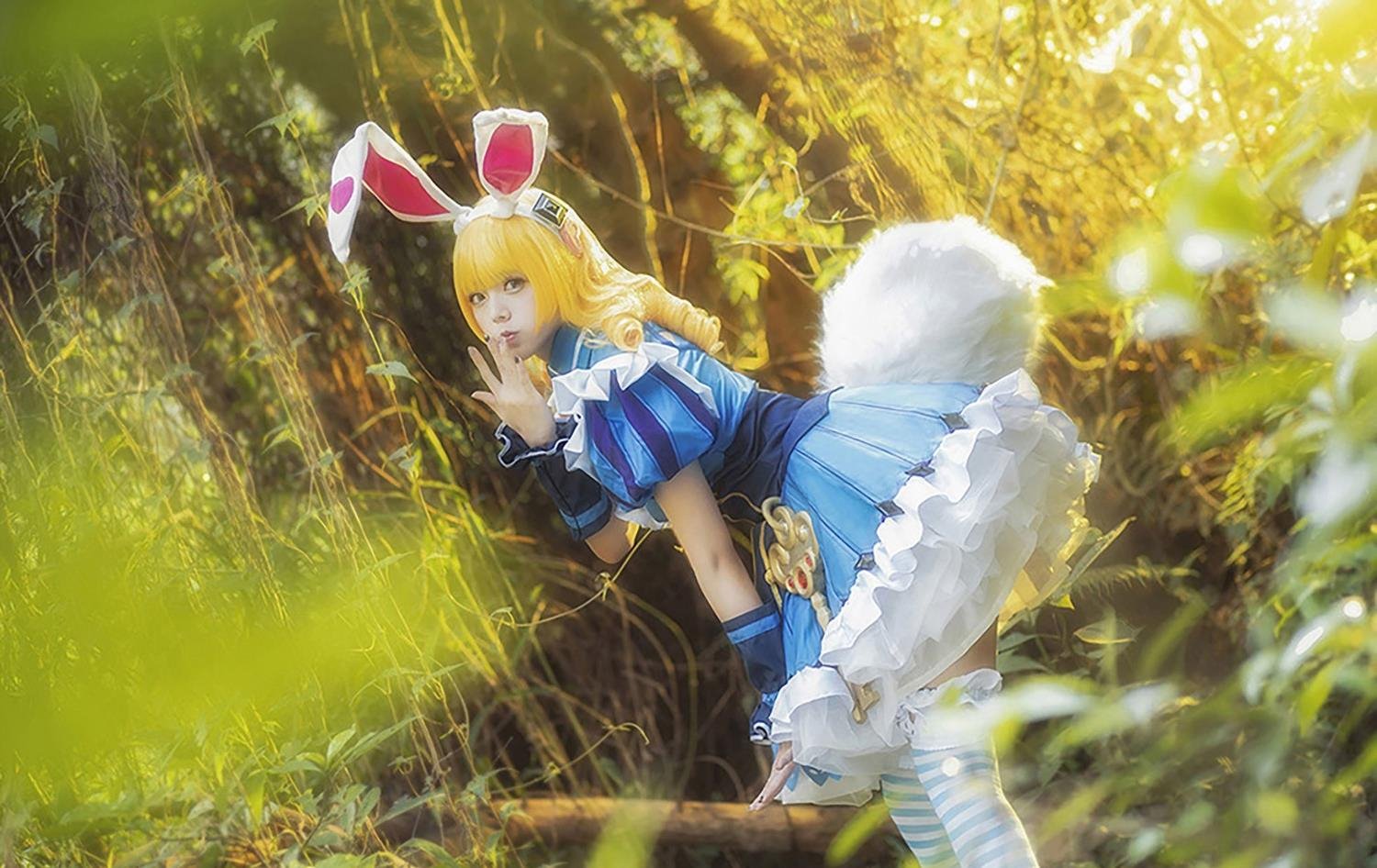 ���ܲ�������Ƶ������Ѳ���